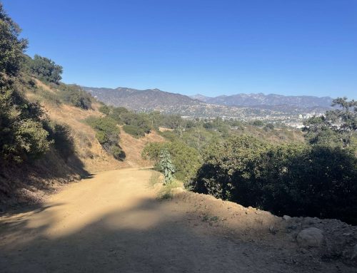 The 13 Best Places to Stay in Los Angeles