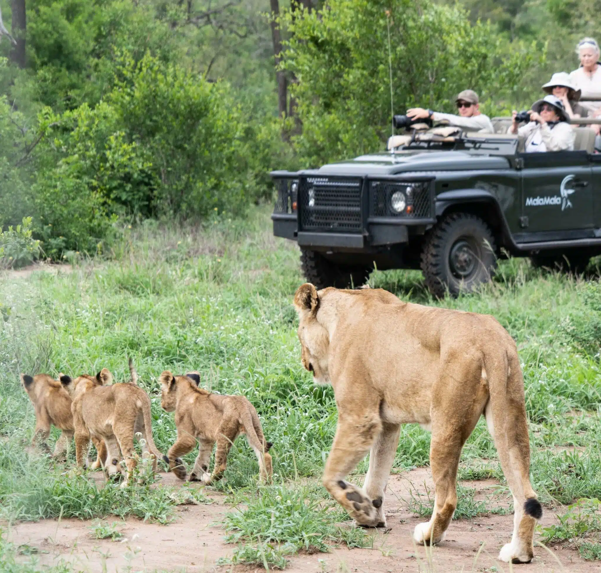 MalaMala Game Reserve