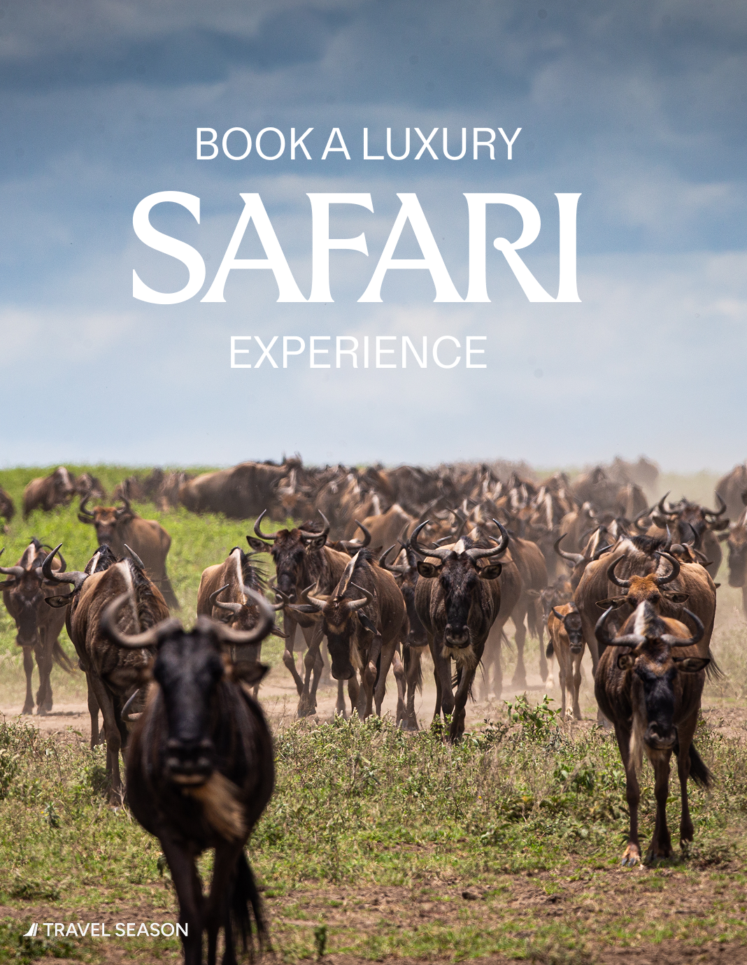 Travel Season safari